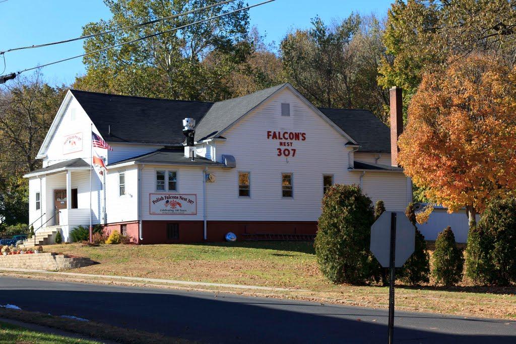 Polish Falcons Club- Plantsville